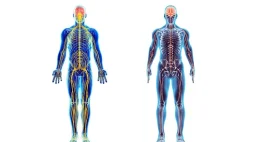 Медицинский центр Neuro Clinic изображение 5