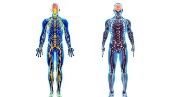 Медицинский центр Neuro Clinic изображение 5